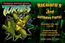 TMNT Ninja Turtles Style 2